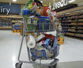 Do Super-sized Shopping Carts Have Potential Attraction?